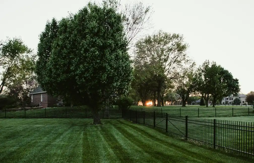 Fall Lawn Care Checklist for Minnesota Homeowners